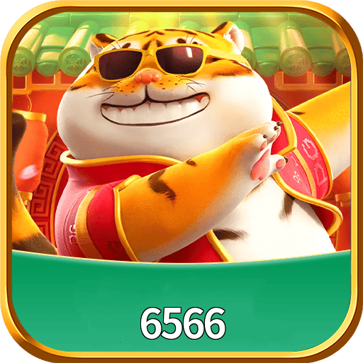 6566